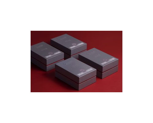 DICTADOR WIXARIKA red 3 .tif