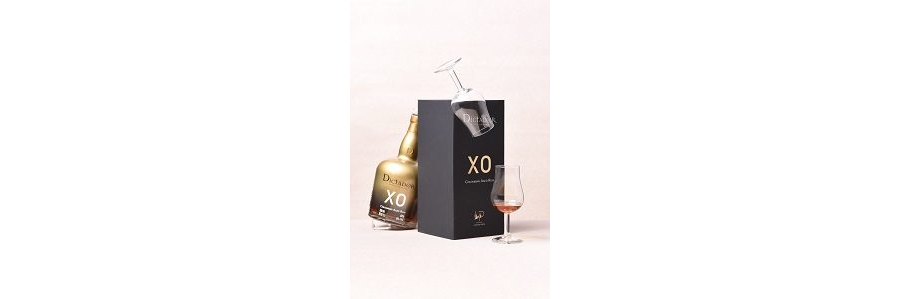 Dictador XO Perpetual 4.jpg