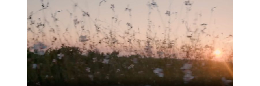 Dictador & Laballe 2 Masters.mp4