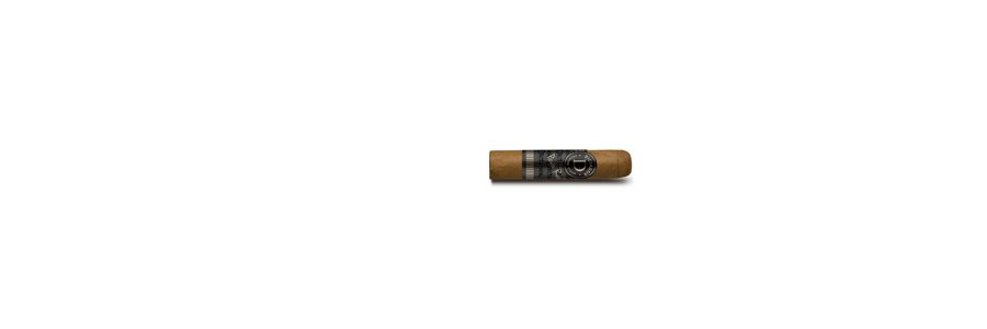 Pavo cigar 4.jpg