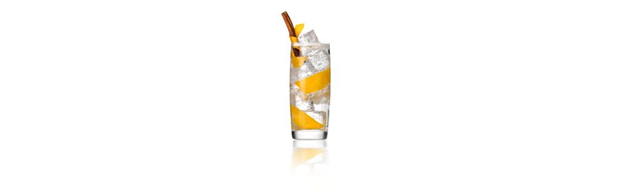 Gin&tonic orange .jpg