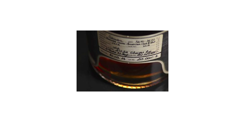 Dictador 2 Masters barton 30.jpg