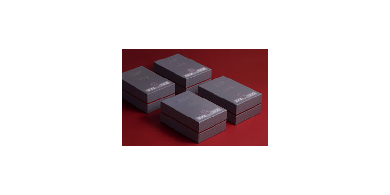 DICTADOR WIXARIKA red 3 .tif