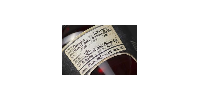 Dictador 2 Masters Barton 20.jpg