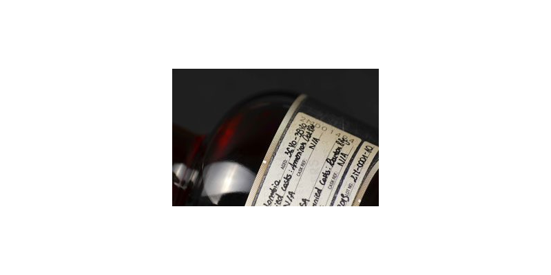 Dictador 2 Masters Barton 11.jpg