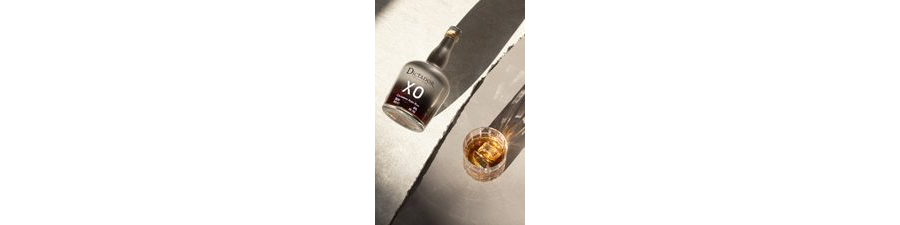 XO Insolent Perfect Serve 2 .tif