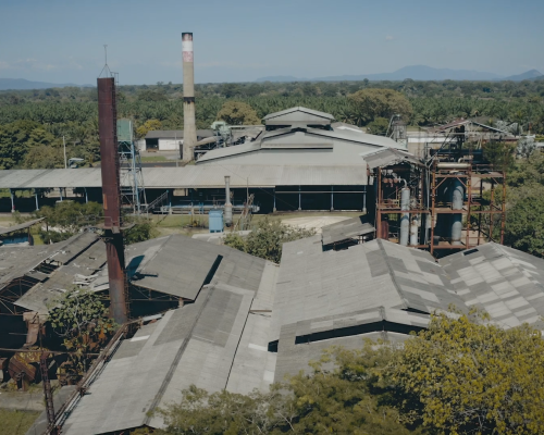 Dictador Art Masters 3: #ArtDistilled Graffiti Museum