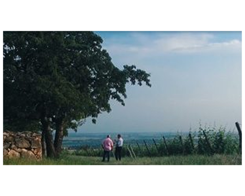 2 Masters Royal Tokaji.mp4