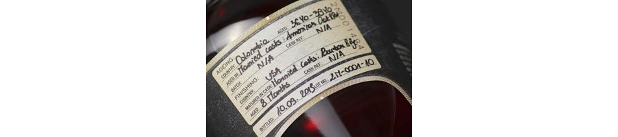 Dictador 2 Masters Barton 20.jpg