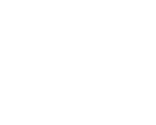 Logo DICTADOR COLOMBIAN AGED RUM white.png