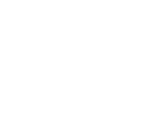 Logo DICTADOR white.png