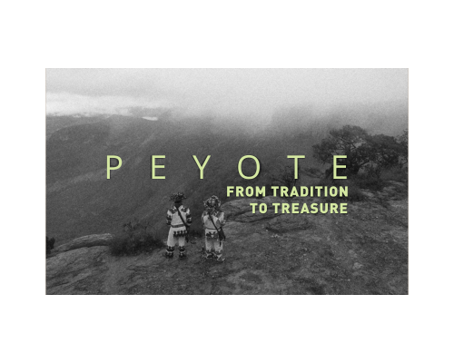 Dictador Peyote Pesentation. pdf