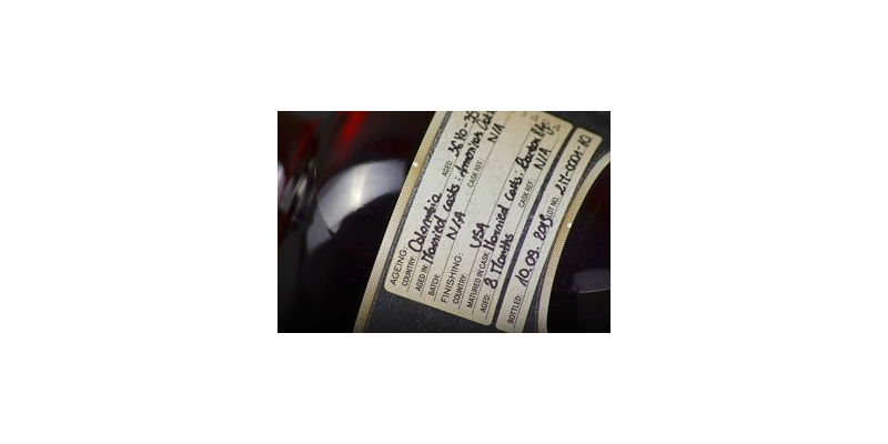 Dictador 2 Masters Barton 17.jpg