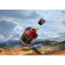 Dictador 2 Masters PENDERYN.mp4