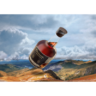 Dictador 2 Masters PENDERYN.mp4