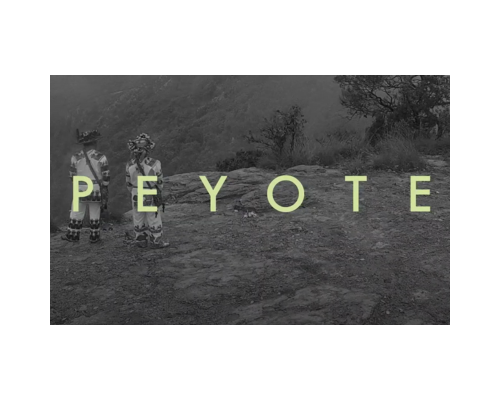 Dictador Peyote. mp4