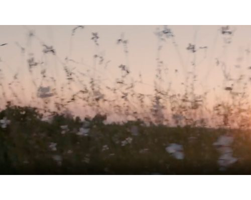 Dictador & Laballe 2 Masters.mp4