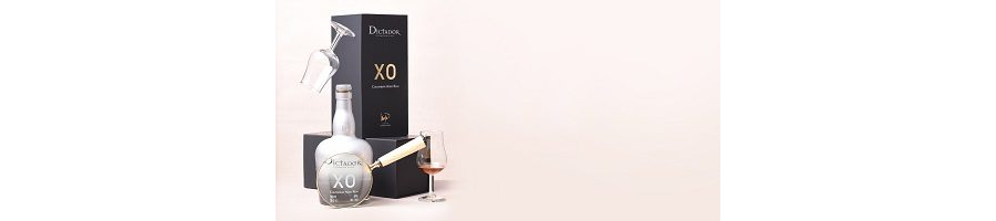 Dictador XO Insolent Banner .jpg