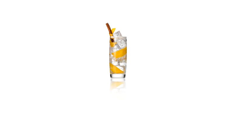 Gin&tonic orange .jpg